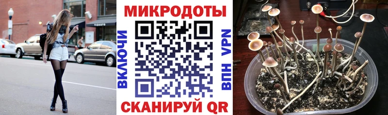 Псилоцибиновые грибы MAGIC MUSHROOMS  цена   Пучеж 